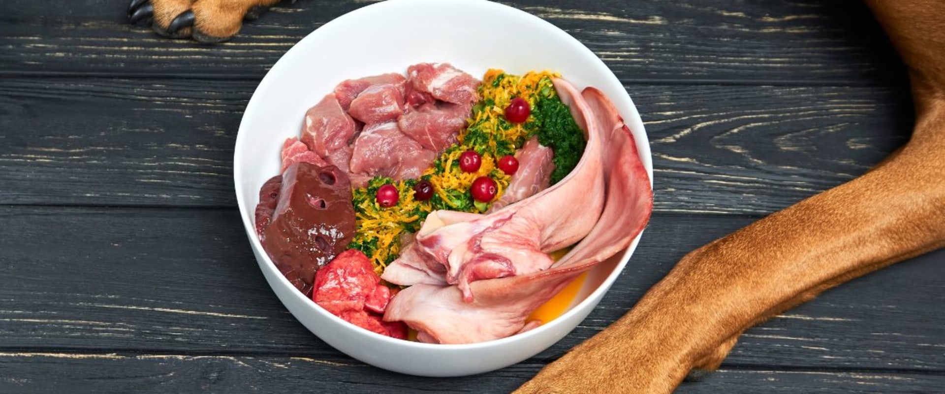 What is the best alternative to raw dog food?
