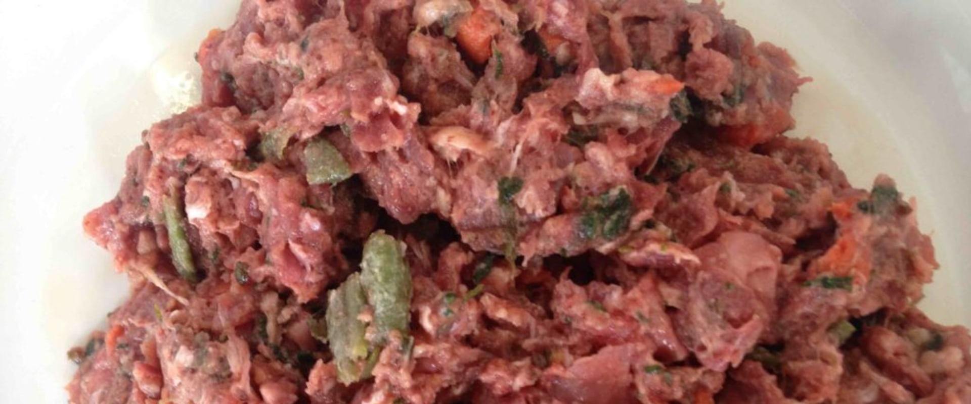 What is raw puppy food?