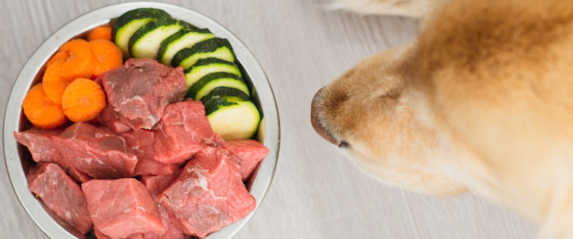 Why raw dog food is bad?