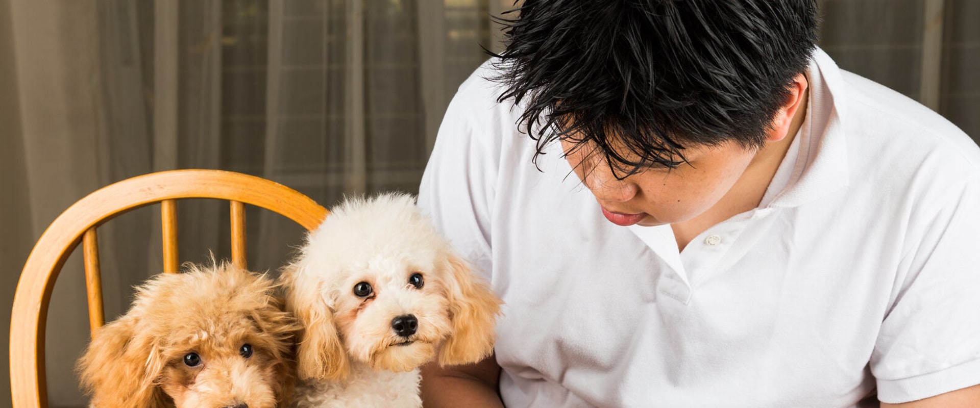 Can dogs eat cold raw food?