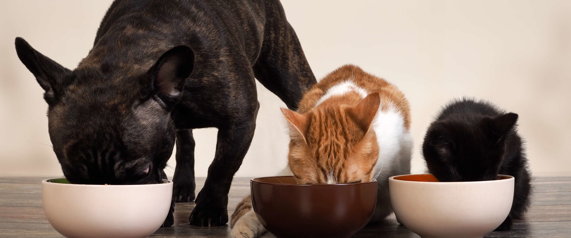 How do you store raw dog food in the fridge?