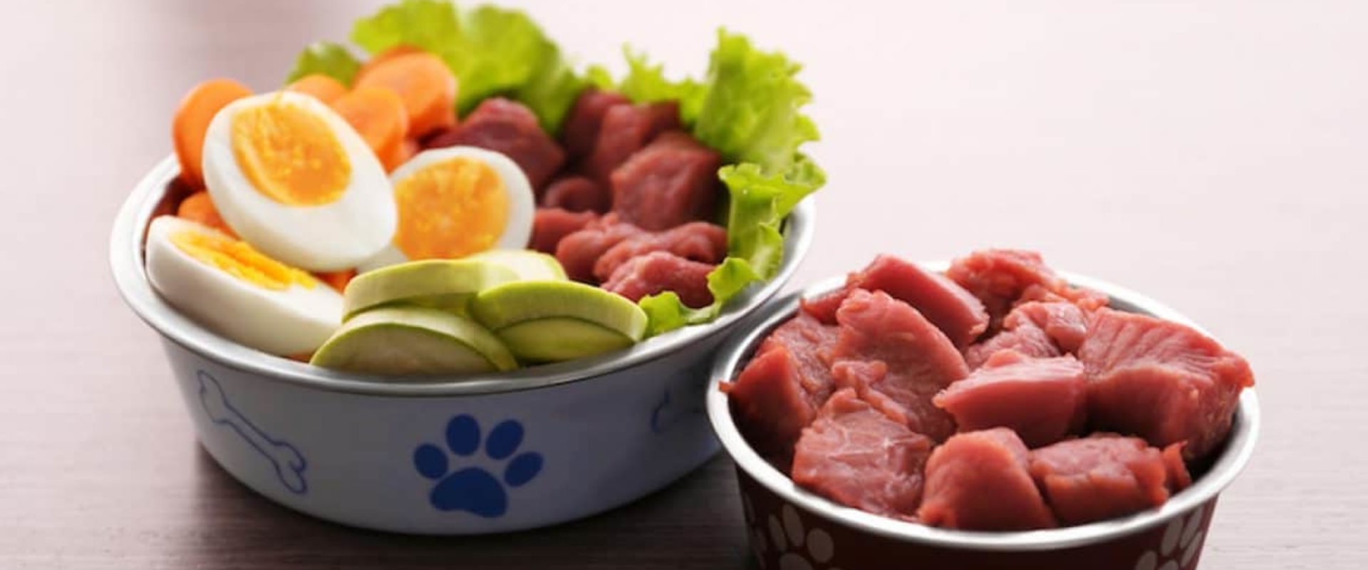 Why raw dog food is best?