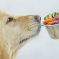 Is raw dog food actually raw?