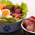 Is a raw dog food diet worth it?