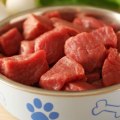 Which raw dog food is best?