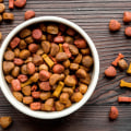 Is raw dog food regulated?