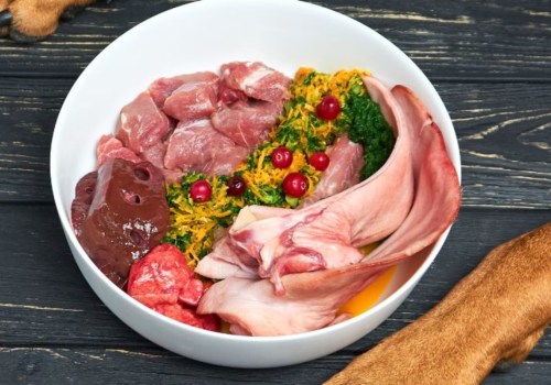What is the best alternative to raw dog food?