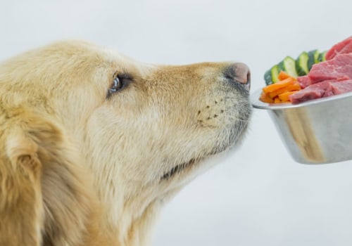 Why raw dog food?