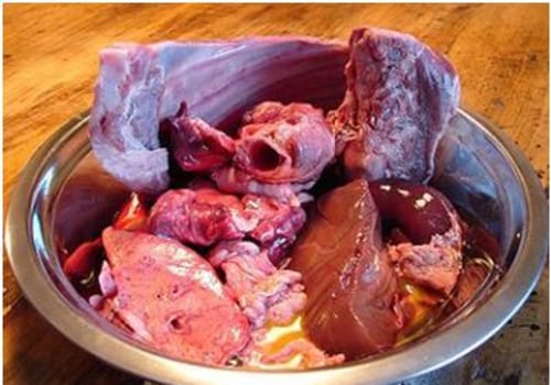 Do dogs prefer raw meat or cooked?