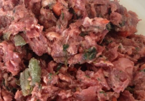 What is raw puppy food?
