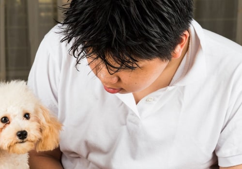 Can dogs eat cold raw food?