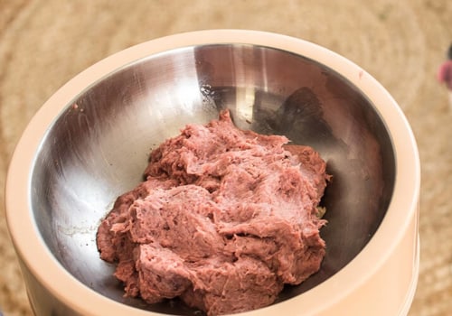 Where to store raw dog food?