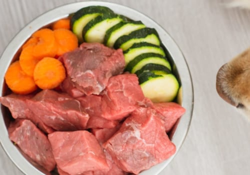 Is it better to feed dogs raw or cooked food?
