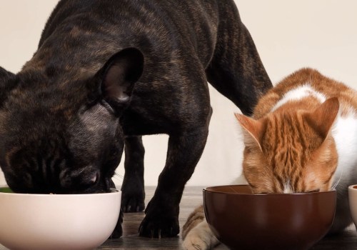 How do you store raw dog food in the fridge?