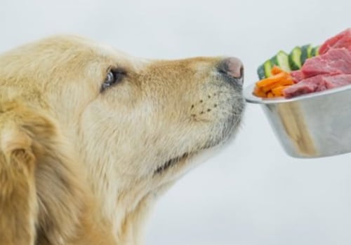 How long can raw food sit out for dog?